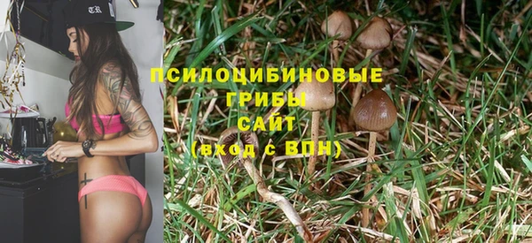 ECSTASY Пролетарск