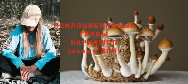 стаф Абаза